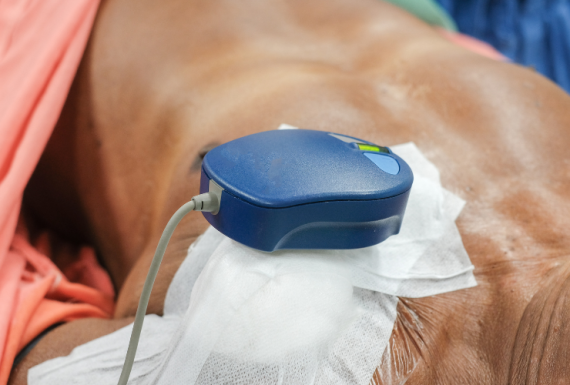 Pacemakers & Testing